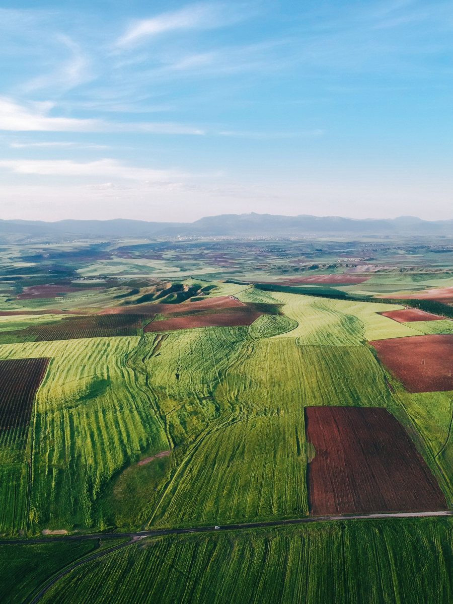 Combien coûte un hectare de terre agricole selon la région ?